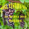Kliknutím zvětšíte Výstava vín Želešice