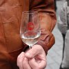 svatomartinske-vino-2011-12