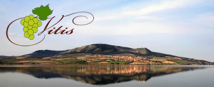 Logo VINOTÉKY Vitis – Vinotéka Líšeň