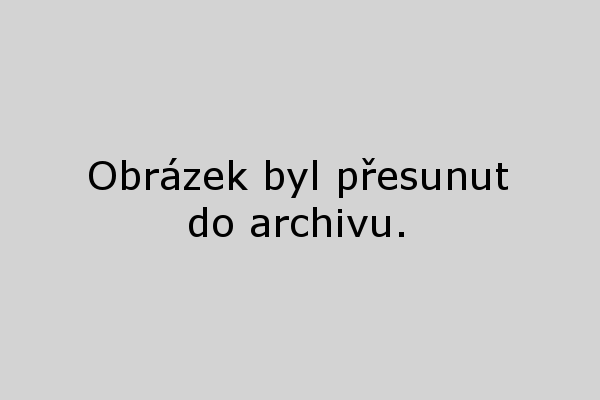 Ryzlink rýnský 2009 MZV - Bílý sklep Adámkovi