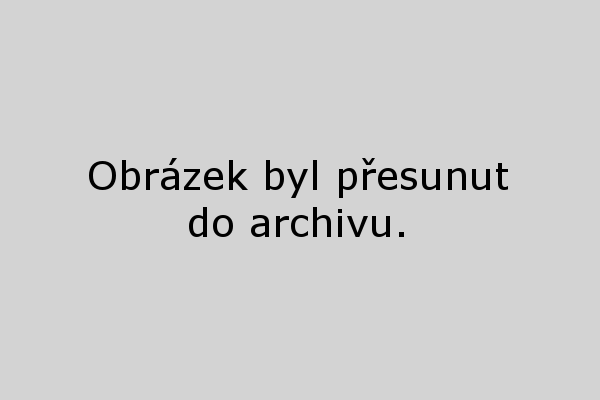 Pálava 2015 výběr z bobulí - Pechor vinařství