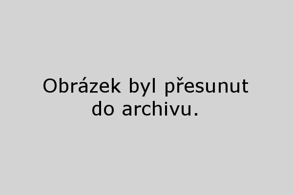 Alfons Mucha, Přemysl Otakar II. - studie k pátemu obrazu z cyklu Slovanská epopej, prodáno v aukci Dorothea za 840 tisíc korun