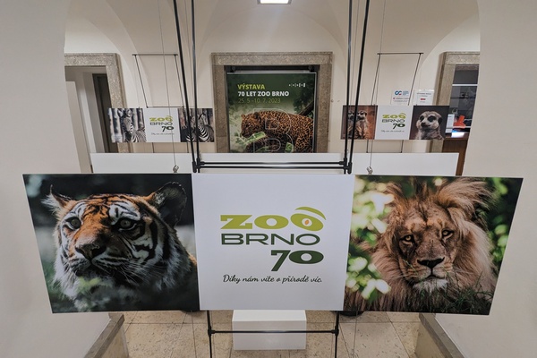 Zoo Brno slaví 70 let od otevření výstavou v Urban centru