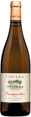 Sauvignon blanc 2019 pozdní sběr - Víno Cibulka 64x236
