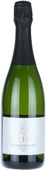 Sauvignon blanc extra brut 2020 - Oulehla vinařství 65x238