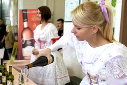 Festival otevřených sklepů 2016 Hustopečsko