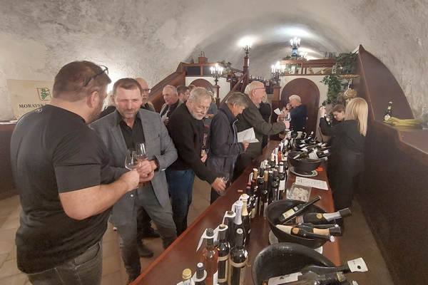 GASTRO  víno které chutná Brnu 3