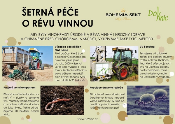 DoVinic 02 small