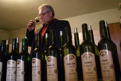 vino_degustator